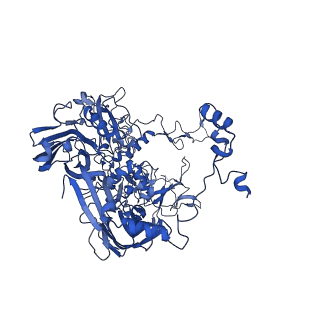 18212_8q7c_B_v1-0
Cryo-EM structure of Adenovirus C5 hexon