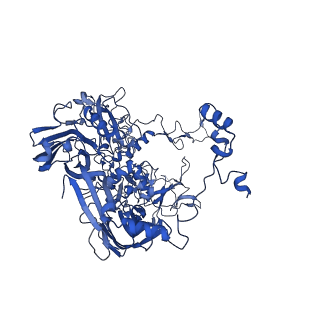 18212_8q7c_B_v1-2
Cryo-EM structure of Adenovirus C5 hexon