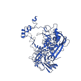 18212_8q7c_C_v1-0
Cryo-EM structure of Adenovirus C5 hexon