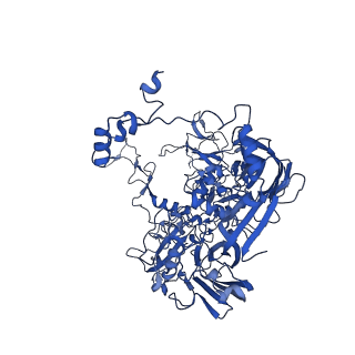 18212_8q7c_C_v1-2
Cryo-EM structure of Adenovirus C5 hexon