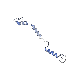 18225_8q7n_7_v1-0
cryo-EM structure of the human spliceosomal B complex protomer (tri-snRNP core region)