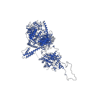 18225_8q7n_A_v1-0
cryo-EM structure of the human spliceosomal B complex protomer (tri-snRNP core region)