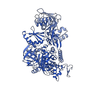 18225_8q7n_C_v1-0
cryo-EM structure of the human spliceosomal B complex protomer (tri-snRNP core region)