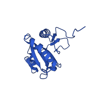 18225_8q7n_D_v1-0
cryo-EM structure of the human spliceosomal B complex protomer (tri-snRNP core region)