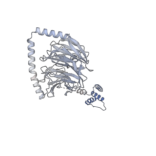 18225_8q7n_F_v1-0
cryo-EM structure of the human spliceosomal B complex protomer (tri-snRNP core region)