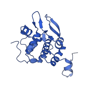 18225_8q7n_I_v1-0
cryo-EM structure of the human spliceosomal B complex protomer (tri-snRNP core region)