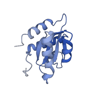 18225_8q7n_M_v1-0
cryo-EM structure of the human spliceosomal B complex protomer (tri-snRNP core region)