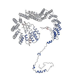 18225_8q7n_N_v1-0
cryo-EM structure of the human spliceosomal B complex protomer (tri-snRNP core region)