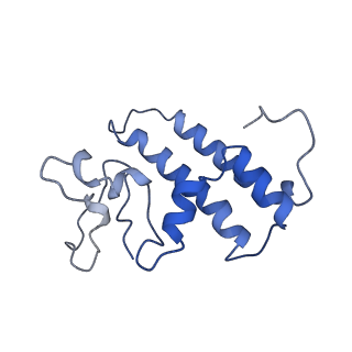 18225_8q7n_Q_v1-0
cryo-EM structure of the human spliceosomal B complex protomer (tri-snRNP core region)
