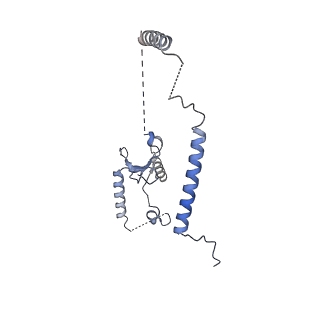 18225_8q7n_S_v1-0
cryo-EM structure of the human spliceosomal B complex protomer (tri-snRNP core region)