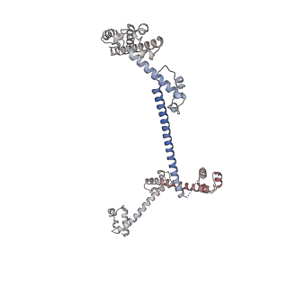 18225_8q7n_T_v1-0
cryo-EM structure of the human spliceosomal B complex protomer (tri-snRNP core region)
