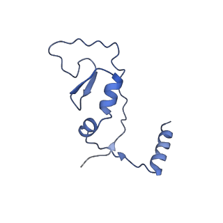 18225_8q7n_r_v1-0
cryo-EM structure of the human spliceosomal B complex protomer (tri-snRNP core region)