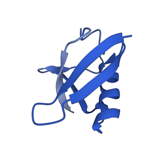 18225_8q7n_s_v1-0
cryo-EM structure of the human spliceosomal B complex protomer (tri-snRNP core region)
