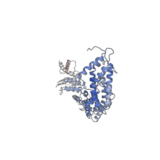 18230_8q7r_A_v1-1
Ubiquitin ligation to substrate by a cullin-RING E3 ligase & Cdc34: NEDD8-CUL2-RBX1-ELOB/C-FEM1C with trapped UBE2R2~donor UB-Sil1 peptide