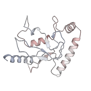 18230_8q7r_C_v1-1
Ubiquitin ligation to substrate by a cullin-RING E3 ligase & Cdc34: NEDD8-CUL2-RBX1-ELOB/C-FEM1C with trapped UBE2R2~donor UB-Sil1 peptide