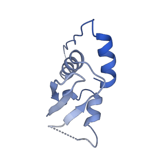 18230_8q7r_D_v1-1
Ubiquitin ligation to substrate by a cullin-RING E3 ligase & Cdc34: NEDD8-CUL2-RBX1-ELOB/C-FEM1C with trapped UBE2R2~donor UB-Sil1 peptide