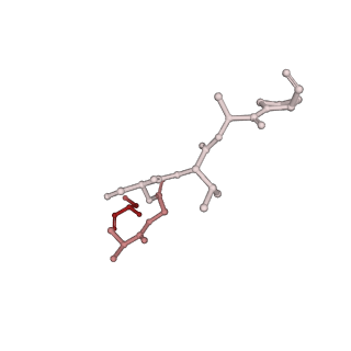 18230_8q7r_F_v1-1
Ubiquitin ligation to substrate by a cullin-RING E3 ligase & Cdc34: NEDD8-CUL2-RBX1-ELOB/C-FEM1C with trapped UBE2R2~donor UB-Sil1 peptide