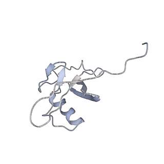 18230_8q7r_G_v1-1
Ubiquitin ligation to substrate by a cullin-RING E3 ligase & Cdc34: NEDD8-CUL2-RBX1-ELOB/C-FEM1C with trapped UBE2R2~donor UB-Sil1 peptide