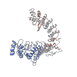18230_8q7r_H_v1-1
Ubiquitin ligation to substrate by a cullin-RING E3 ligase & Cdc34: NEDD8-CUL2-RBX1-ELOB/C-FEM1C with trapped UBE2R2~donor UB-Sil1 peptide