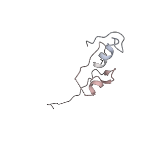 18230_8q7r_R_v1-1
Ubiquitin ligation to substrate by a cullin-RING E3 ligase & Cdc34: NEDD8-CUL2-RBX1-ELOB/C-FEM1C with trapped UBE2R2~donor UB-Sil1 peptide