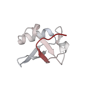 18230_8q7r_U_v1-1
Ubiquitin ligation to substrate by a cullin-RING E3 ligase & Cdc34: NEDD8-CUL2-RBX1-ELOB/C-FEM1C with trapped UBE2R2~donor UB-Sil1 peptide
