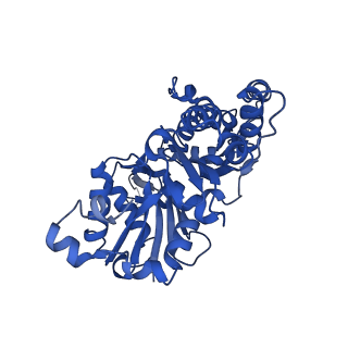 13863_7q8b_A_v1-1
Leishmania major actin filament in ADP-Pi state