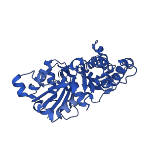 13863_7q8b_B_v1-1
Leishmania major actin filament in ADP-Pi state