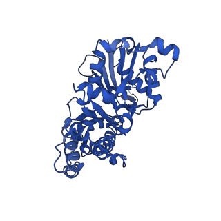 13863_7q8b_D_v1-1
Leishmania major actin filament in ADP-Pi state