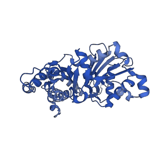 13864_7q8c_B_v1-1
Leishmania major actin filament in ADP-state