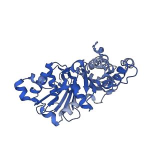 13864_7q8c_C_v1-1
Leishmania major actin filament in ADP-state