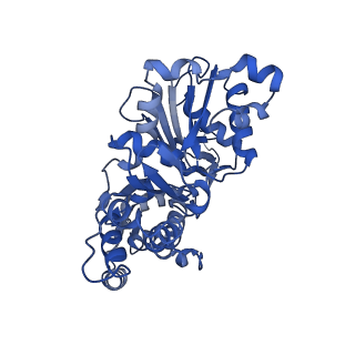 13864_7q8c_E_v1-1
Leishmania major actin filament in ADP-state
