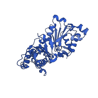 13865_7q8s_A_v1-1
Leishmania major ADP-actin filament decorated with Leishmania major cofilin