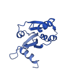 13865_7q8s_B_v1-1
Leishmania major ADP-actin filament decorated with Leishmania major cofilin