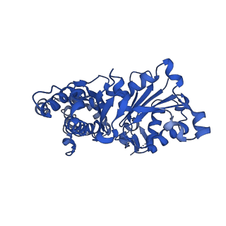 13865_7q8s_C_v1-1
Leishmania major ADP-actin filament decorated with Leishmania major cofilin