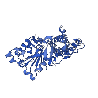 13865_7q8s_D_v1-1
Leishmania major ADP-actin filament decorated with Leishmania major cofilin