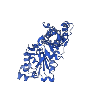 13865_7q8s_E_v1-1
Leishmania major ADP-actin filament decorated with Leishmania major cofilin