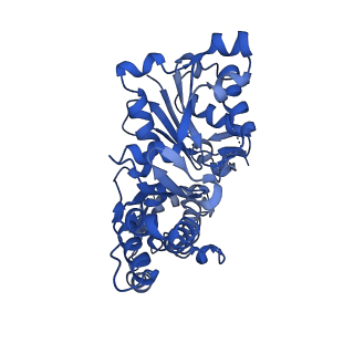 13865_7q8s_F_v1-1
Leishmania major ADP-actin filament decorated with Leishmania major cofilin