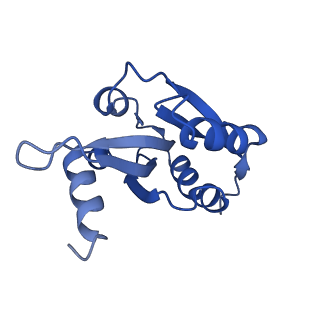 13865_7q8s_G_v1-1
Leishmania major ADP-actin filament decorated with Leishmania major cofilin