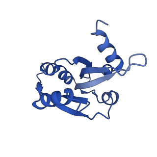 13865_7q8s_H_v1-1
Leishmania major ADP-actin filament decorated with Leishmania major cofilin