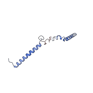 18246_8q84_N_v1-1
Outer kinetochore Dam1 protomer dimer Ndc80-Nuf2 coiled-coil complex