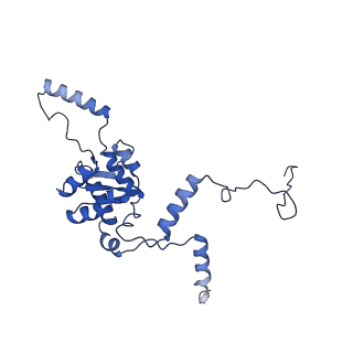 4474_6q8y_AA_v1-3
Cryo-EM structure of the mRNA translating and degrading yeast 80S ribosome-Xrn1 nuclease complex