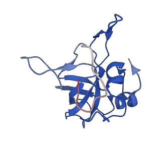 4474_6q8y_AB_v1-3
Cryo-EM structure of the mRNA translating and degrading yeast 80S ribosome-Xrn1 nuclease complex