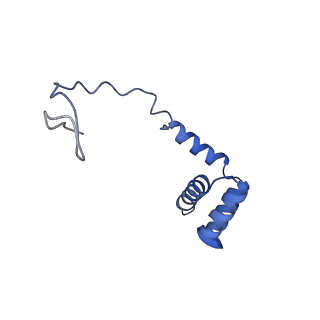 4474_6q8y_AC_v1-3
Cryo-EM structure of the mRNA translating and degrading yeast 80S ribosome-Xrn1 nuclease complex