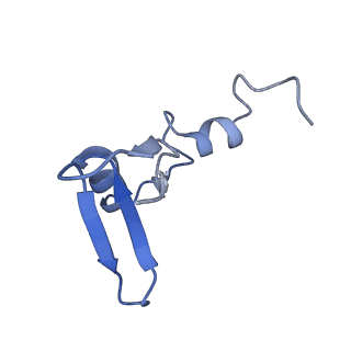 4474_6q8y_AE_v1-3
Cryo-EM structure of the mRNA translating and degrading yeast 80S ribosome-Xrn1 nuclease complex