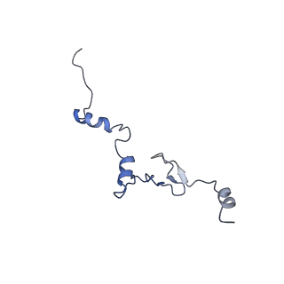 4474_6q8y_AF_v1-3
Cryo-EM structure of the mRNA translating and degrading yeast 80S ribosome-Xrn1 nuclease complex