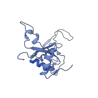 4474_6q8y_AG_v1-3
Cryo-EM structure of the mRNA translating and degrading yeast 80S ribosome-Xrn1 nuclease complex