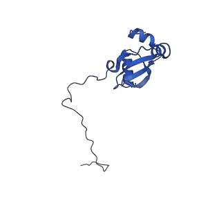 4474_6q8y_AH_v1-3
Cryo-EM structure of the mRNA translating and degrading yeast 80S ribosome-Xrn1 nuclease complex