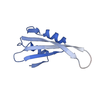 4474_6q8y_AI_v1-3
Cryo-EM structure of the mRNA translating and degrading yeast 80S ribosome-Xrn1 nuclease complex