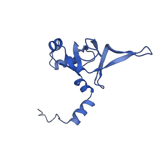 4474_6q8y_AK_v1-3
Cryo-EM structure of the mRNA translating and degrading yeast 80S ribosome-Xrn1 nuclease complex