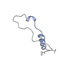 4474_6q8y_AL_v1-3
Cryo-EM structure of the mRNA translating and degrading yeast 80S ribosome-Xrn1 nuclease complex